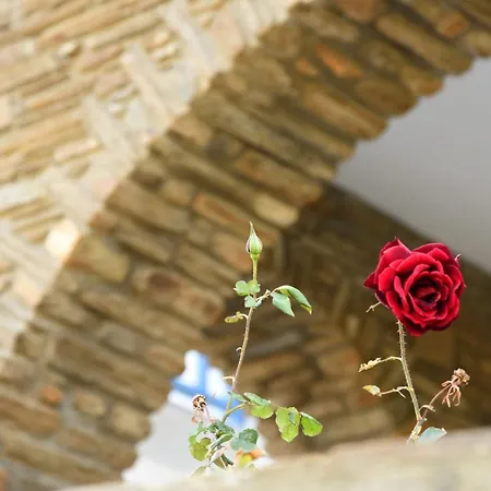 Andros Guesthouses *