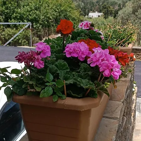 Andros Guesthouses